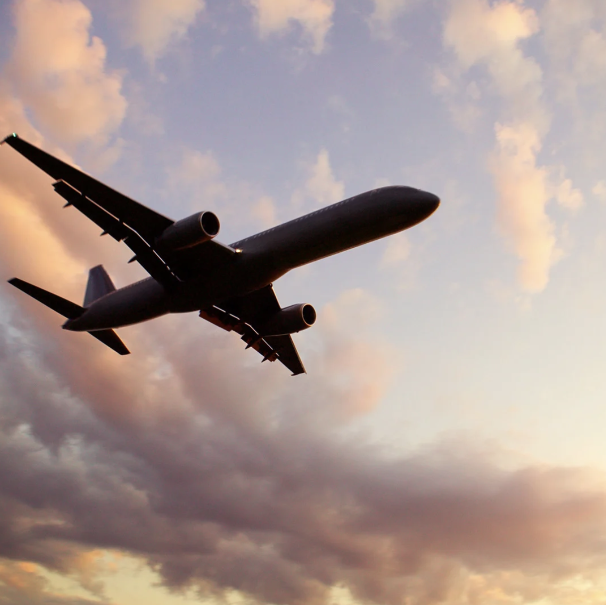 Que manger dans l’avion quand on a un SII ?
